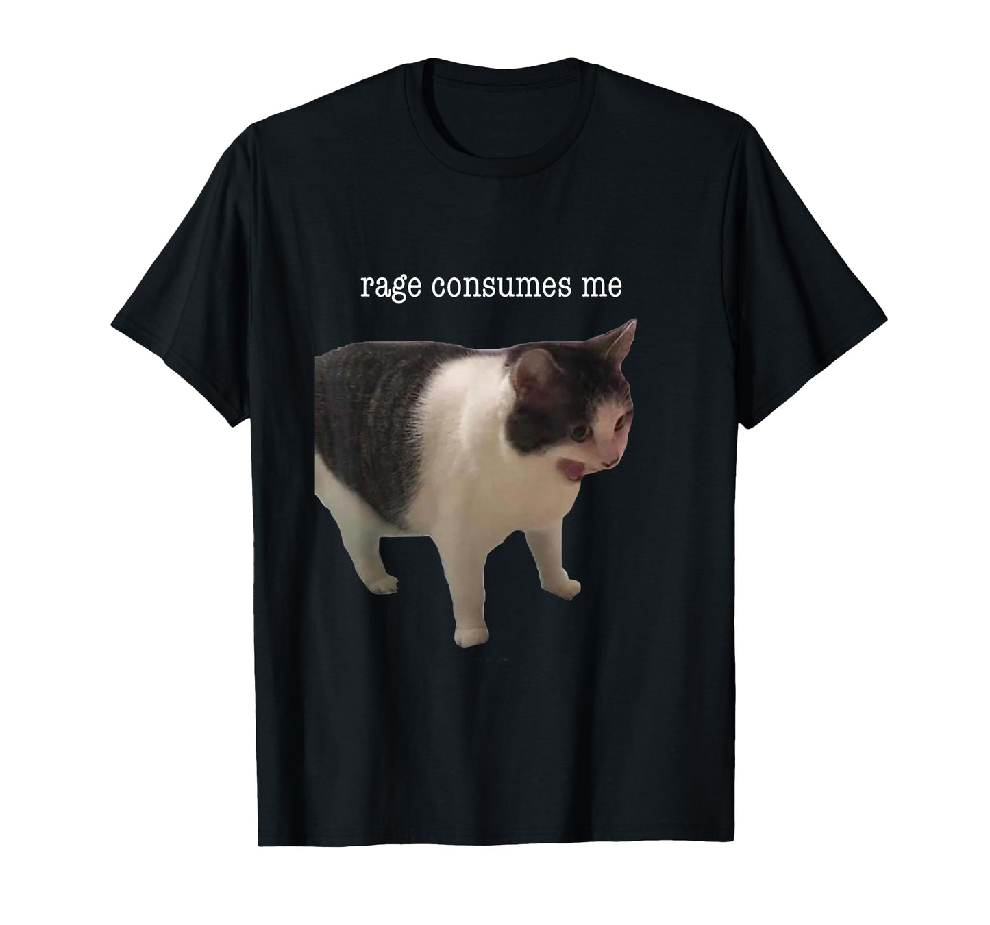 Rage Consumes Me Funny Cat Meme Men Women T-Shirt