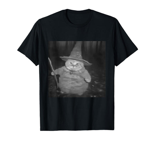 Fat Wizard Cat Fat Kitten Wizard Funny Cat Meme Brain Rot T-Shirt