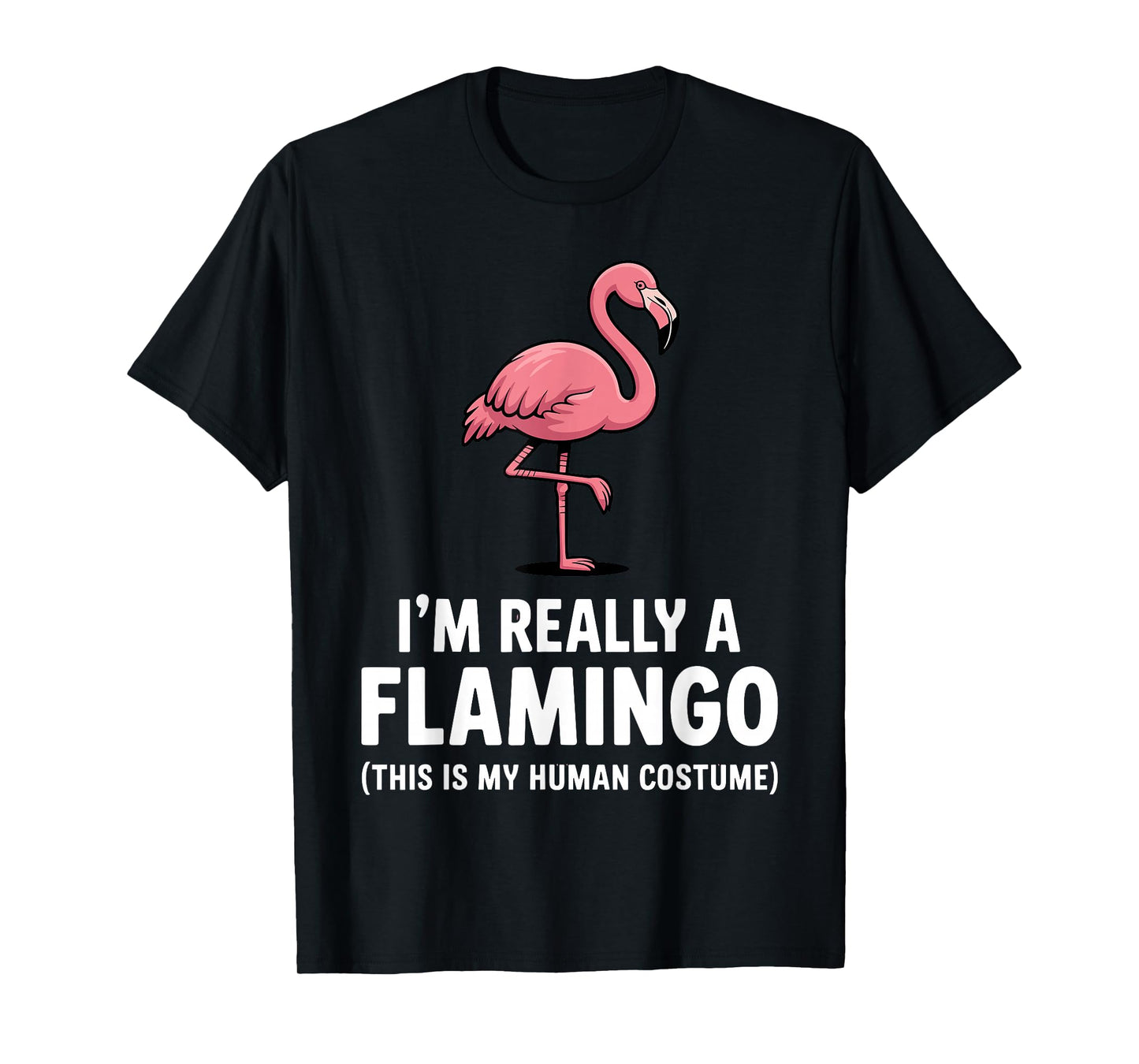 Funny Flamingo Design for Men Women Kids Bird Pink Flamingo T-Shirt