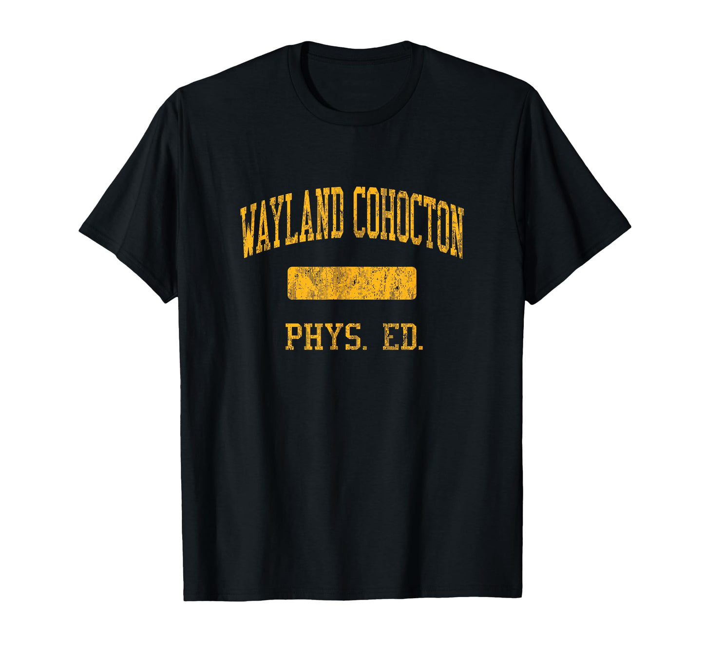 Wayland Cohocton High School HS Wayland NY PHYS Ed T-Shirt