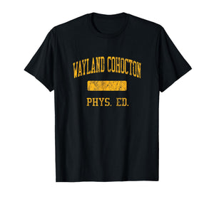 Wayland Cohocton High School HS Wayland NY PHYS Ed T-Shirt