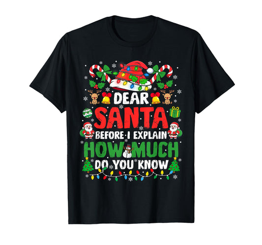 Dear Santa I Can Explain Funny Christmas Shirts Kids Adults T-Shirt