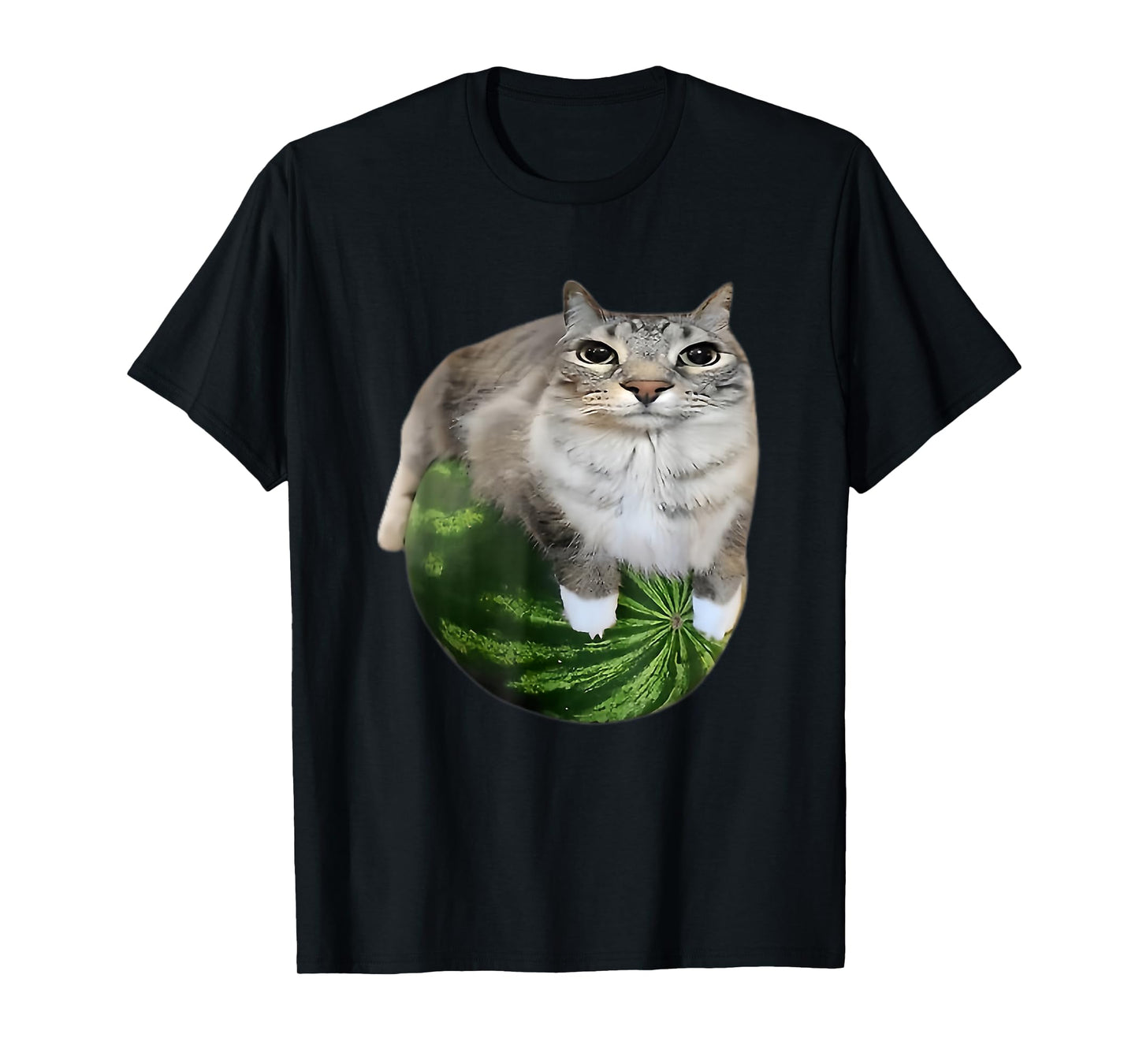 Funny Watermelon Cat Silly Meme T-Shirt