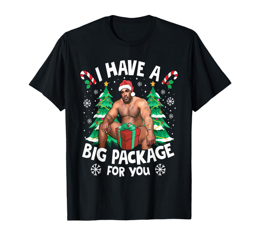 Christmas I Have A Big Package for You Naughty Big Black Guy T-Shirt