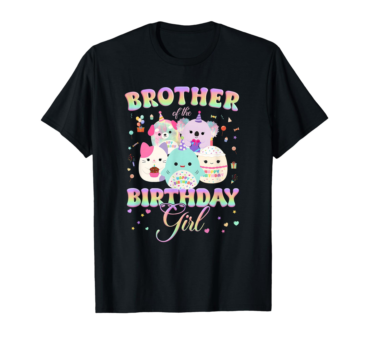 Birthday Family Squish Squad Brother of The Birthday Girl T-Shirt
