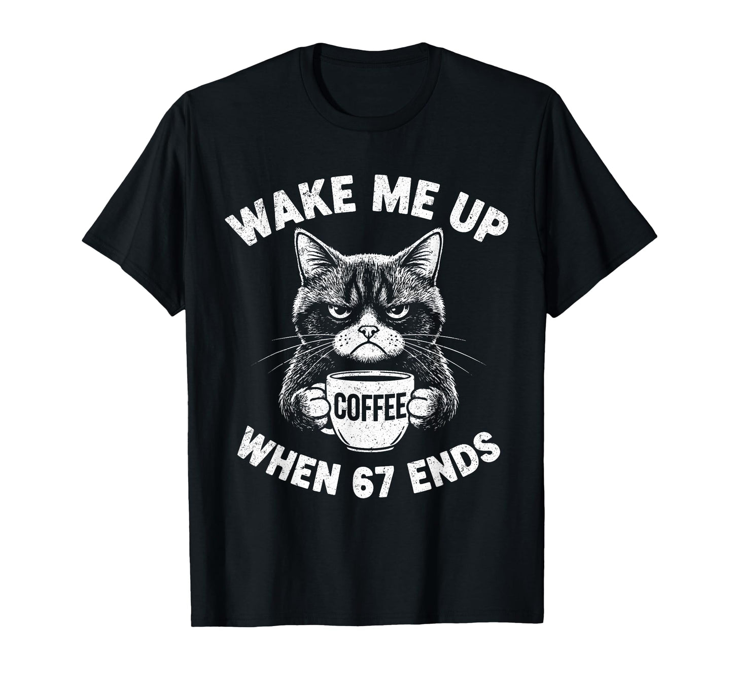 Wake Me 67 Ends Anti Six Seven Cat Brainrot Teacher T-Shirt