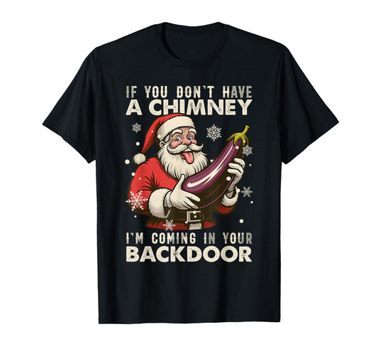 Santa If You Dont Have A Chimney Im Coming in Your Backdoor T-Shirt