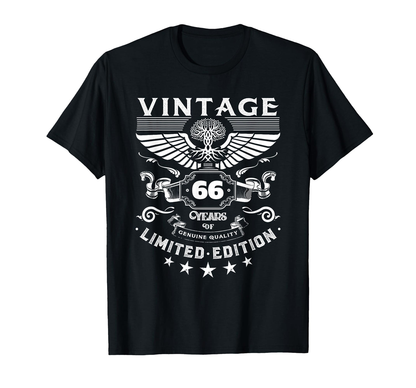 66 Birthday Decorations Men 66th Birthday Gifts 66th Bday T-Shirt