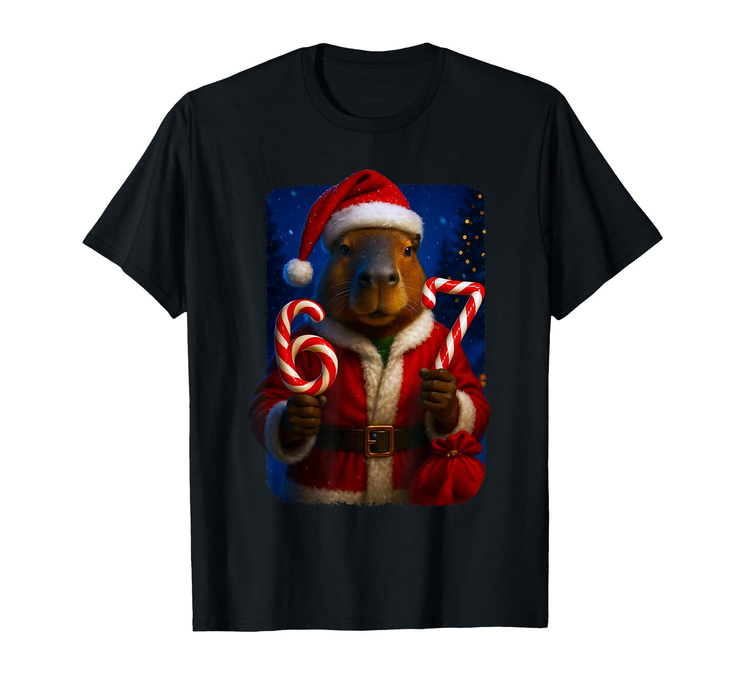 Funny 67 Santa Capybara Six Seven Ironic Christmas Meme T-Shirt
