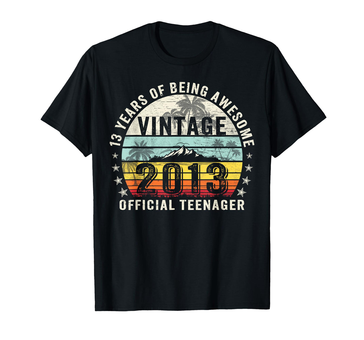 Vintage 2013 Official Teenager 13th Birthday Gifts 13 Yr Old T-Shirt