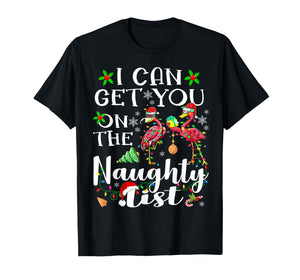 I Can Get You On The Naughty List Flamingo Christmas Lights T-Shirt