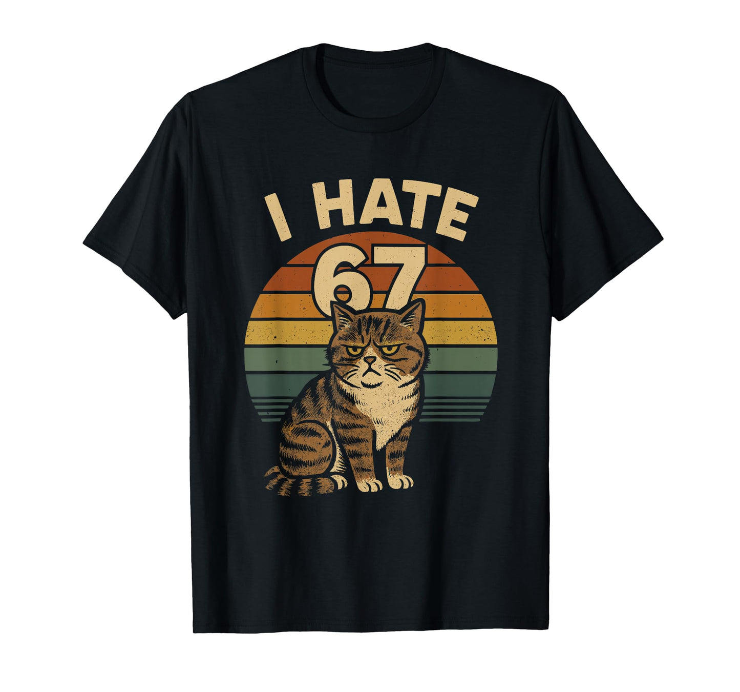 I Hate 67 Meme Cat Funny Internet Trend Humor Brainrot Youth T-Shirt