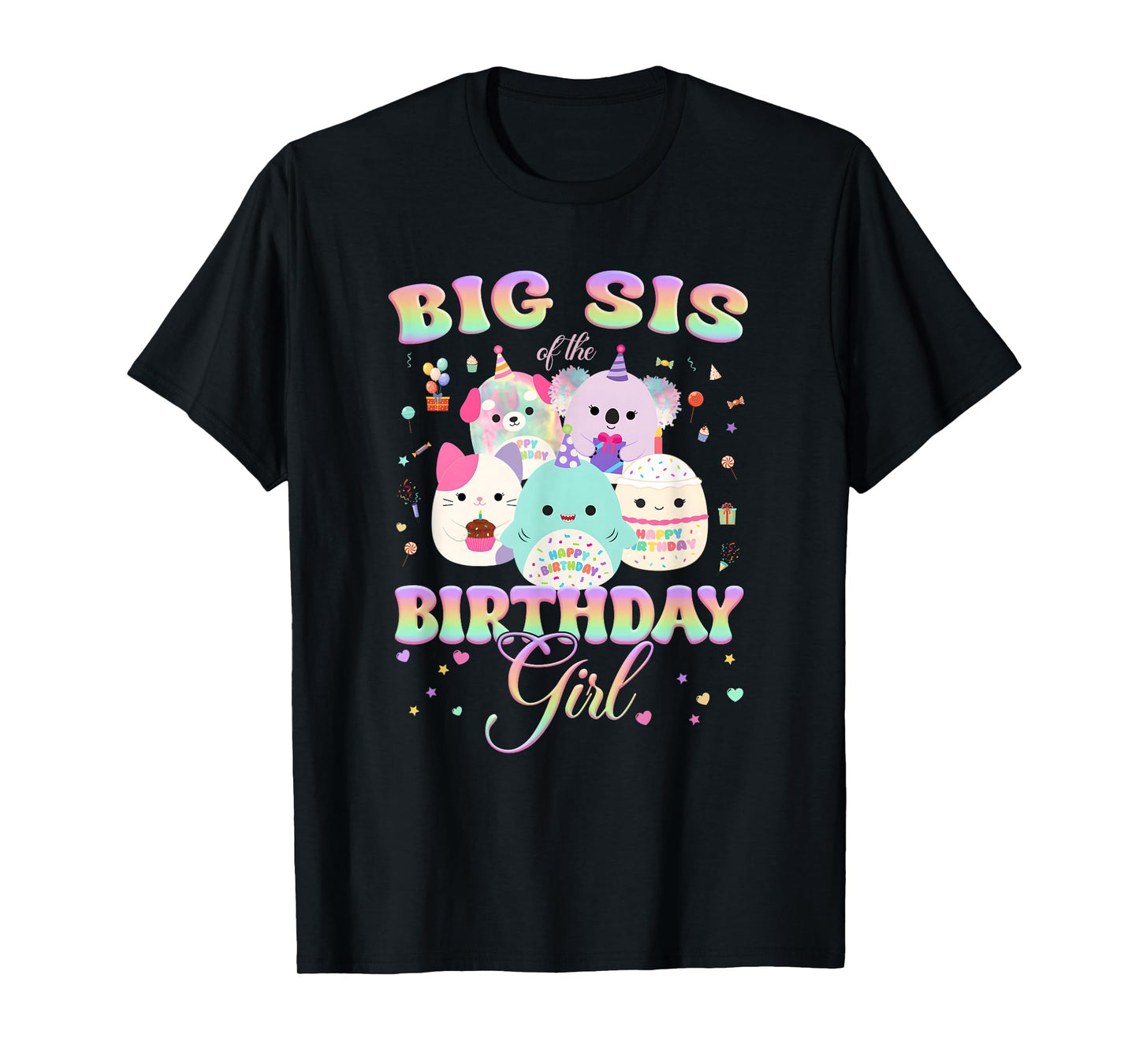 Birthday Family Squish Squad Big Sis of The Birthday Girl T-Shirt