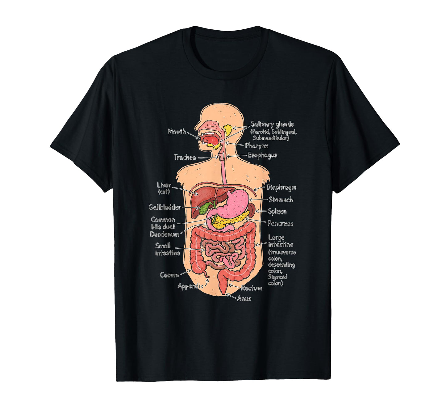 Human Digestive System Anatomy Chart Biology Diagram T-Shirt