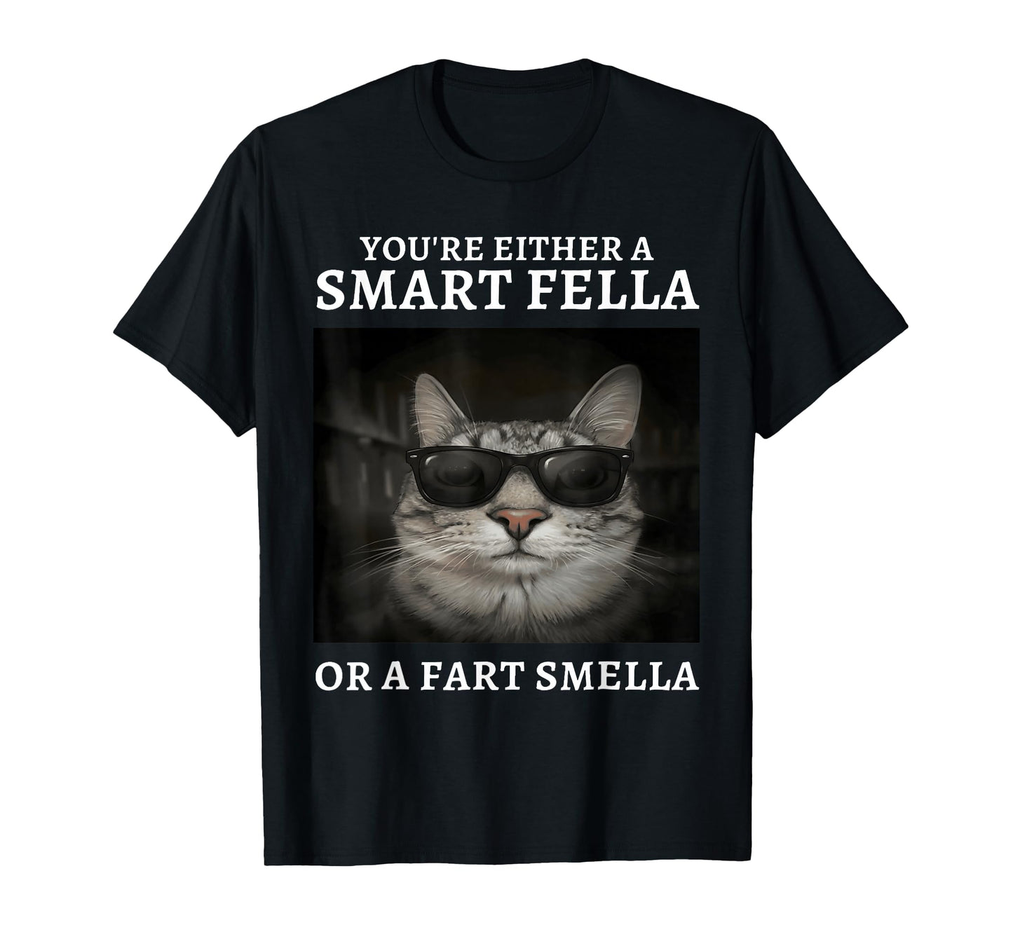 You're Either A Smart Fella Or A Fart Smella Funny Cat Meme T-Shirt
