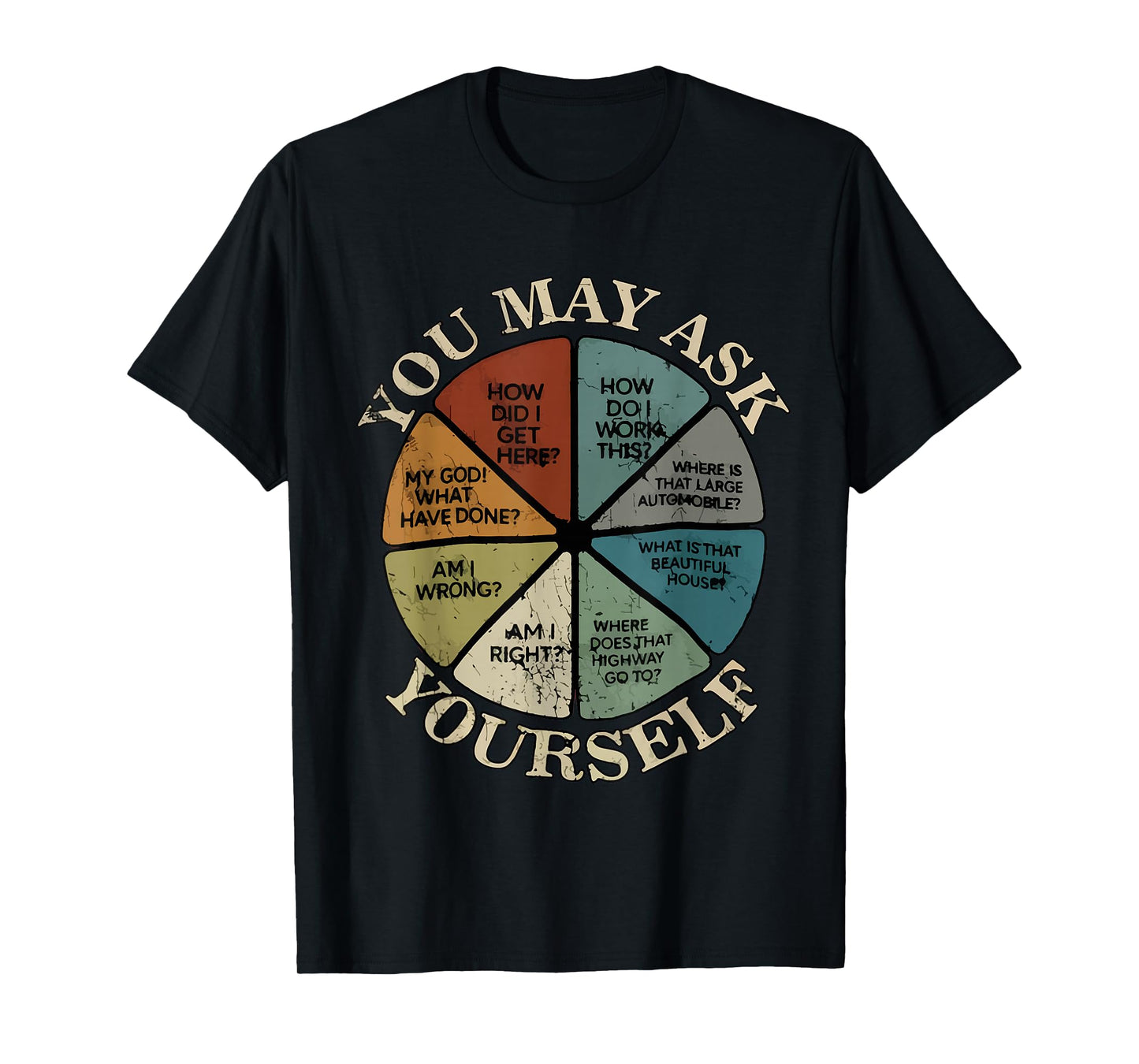 Vintage You May Ask Yourself Once in A Lifetime Pie Chart T-Shirt