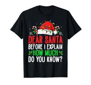 Funny Christmas Kids Adults Dear Santa I Can Explain T-Shirt