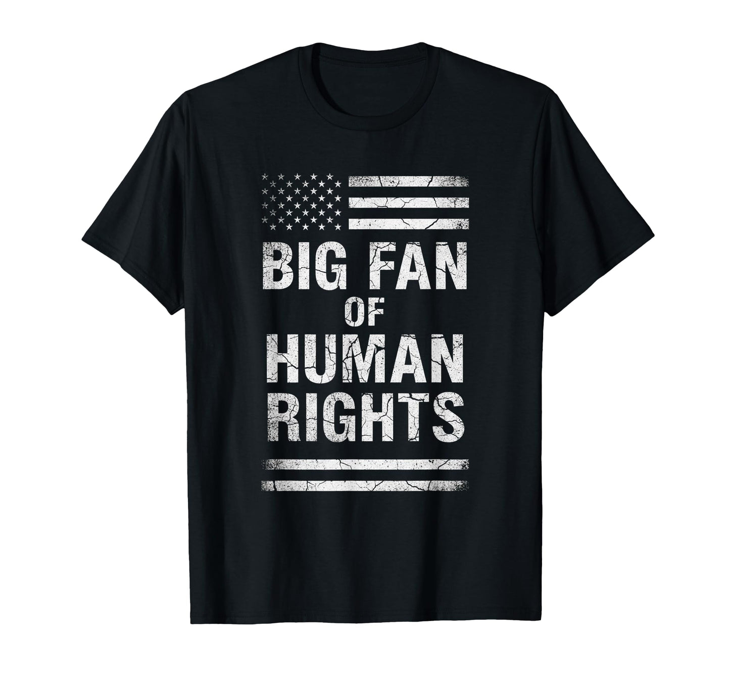 Big Fan of Human Rights Distressed American Flag Activist T-Shirt