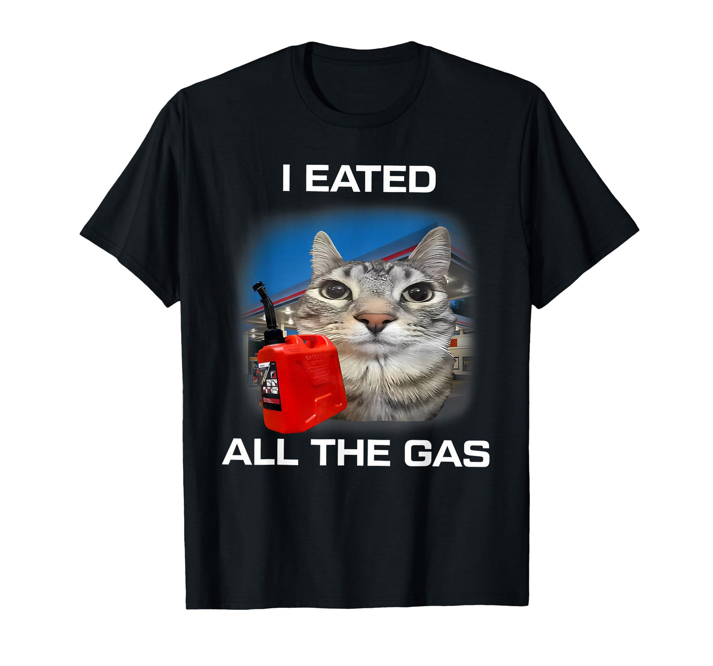 I Eated All The Gas Cat Meme Stupid Brainrot Humor T-Shirt