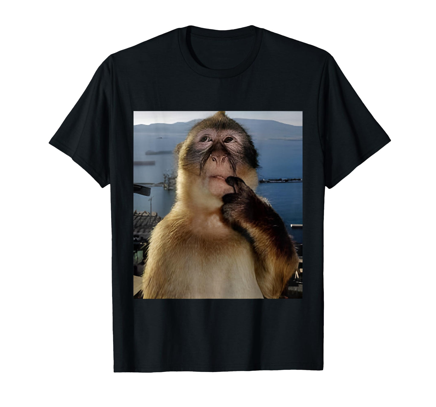 Funny Thinking Monkey Meme T-Shirt Curious Ape Brainrot Gift T-Shirt