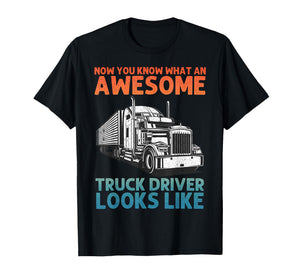Truck Driver Art for Men Women Truck Driver Trucking Trucker T-Shirt