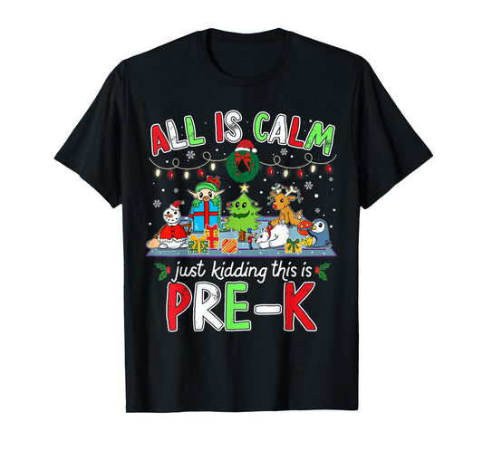 Calm Chaos Pre K Funny Christmas Outfit for Teachers Student T-Shirt