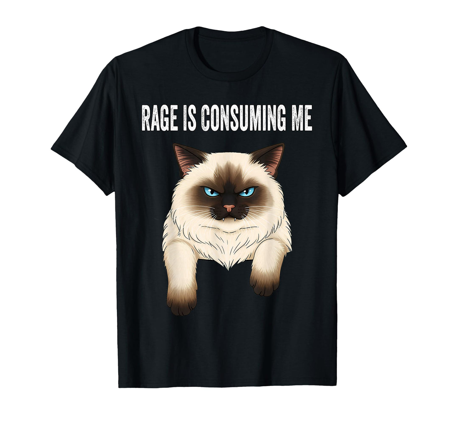 Silly Cat Rage is Consuming Me Silly Cats Funny Cat Meme T-Shirt
