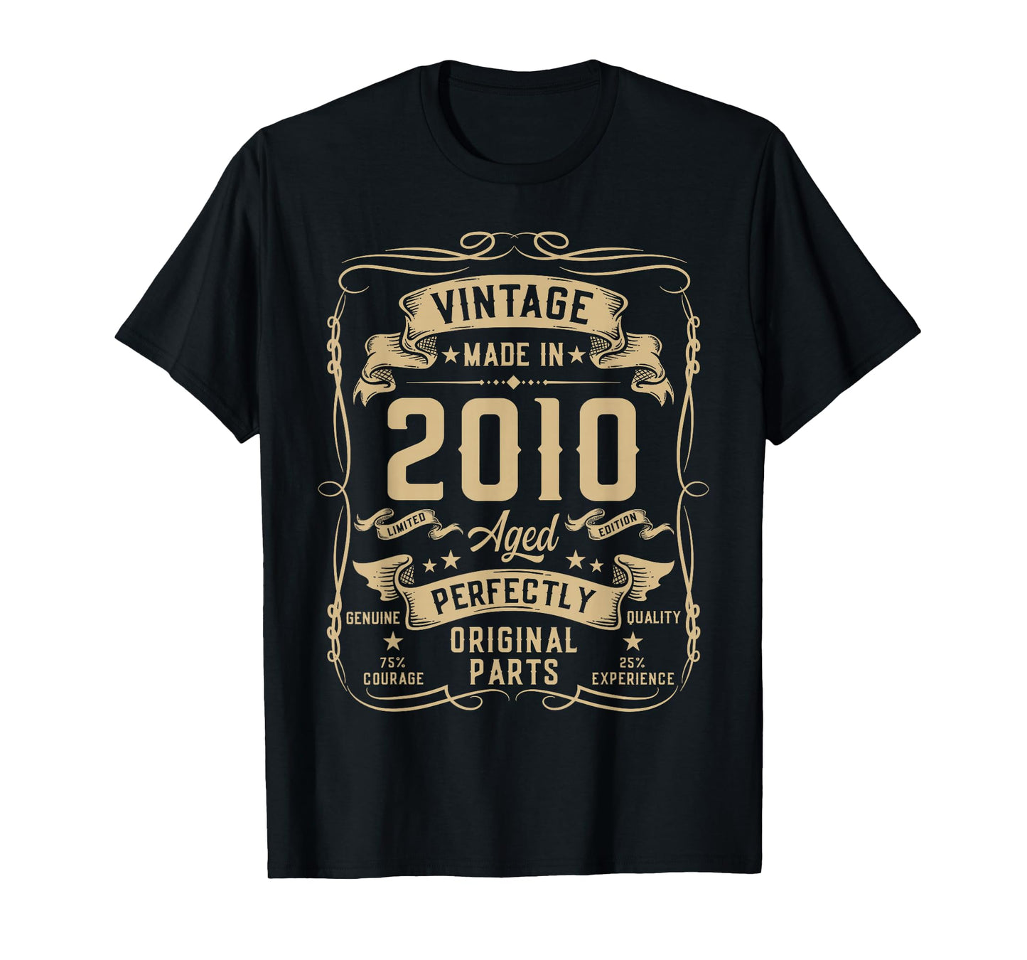 Vintage 2010 16yr 16th Birthday Gifts for Boys 16 Years Old T-Shirt