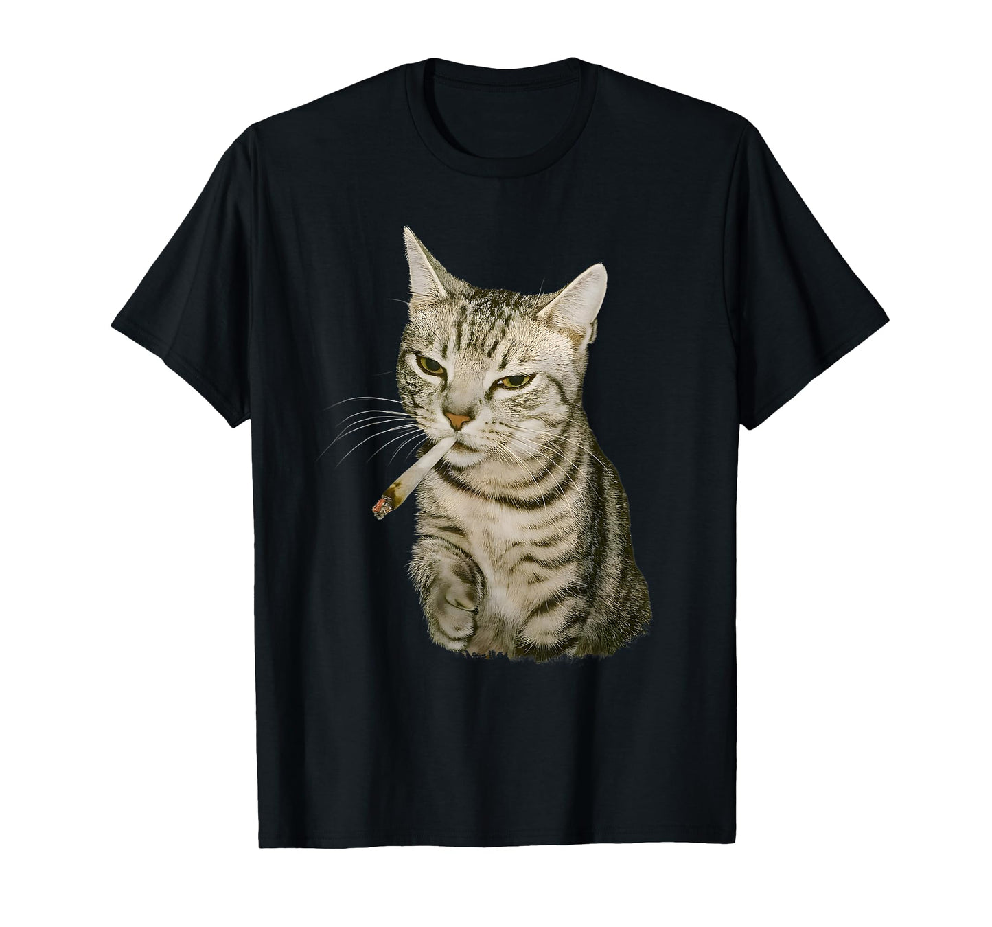 Funny Smoking Cat, Cigarette Kitty Gen Z Meme, Cat Lover T-Shirt
