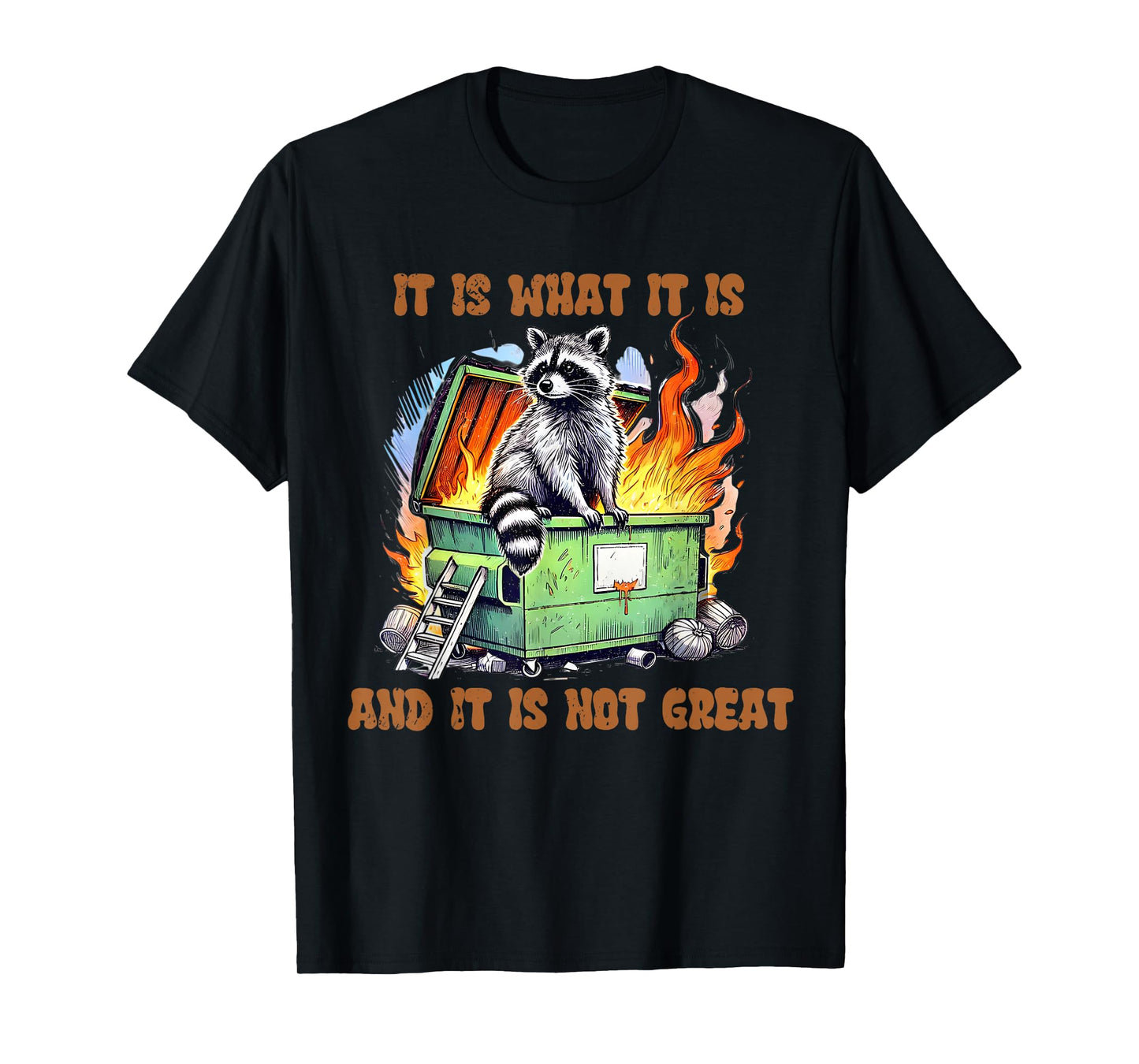It is What Not Great Raccoon Mental Health Lil Dumpster Meme T-Shirt