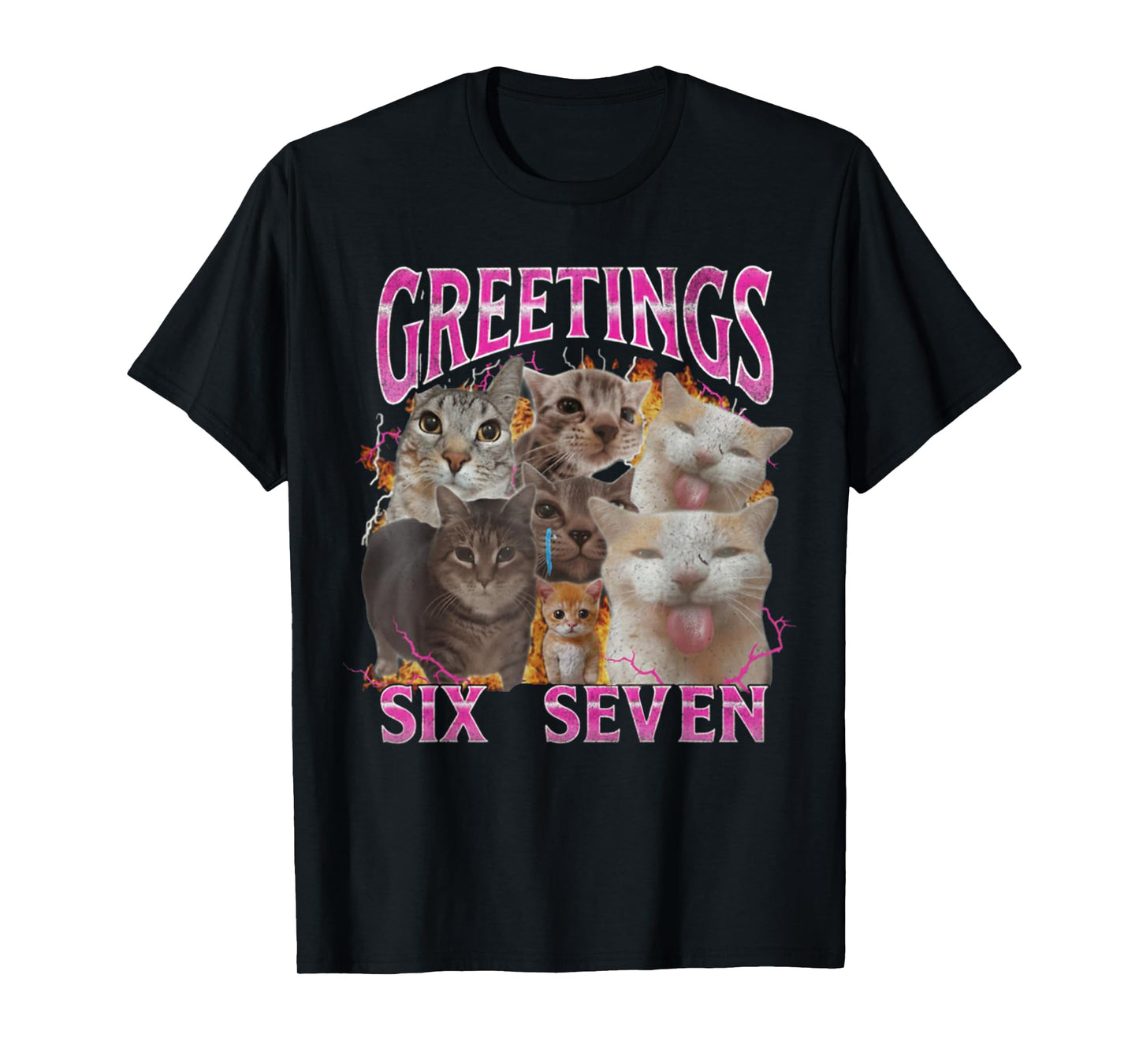 Greetings 67 Funny Cat Meme Funny Six Seven Meme T-Shirt