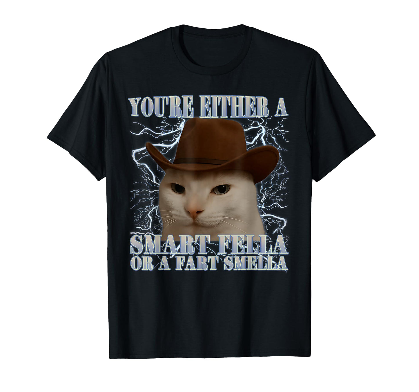 You're Either a Smart Fella or a Fart Smella Funny Cat Meme T-Shirt