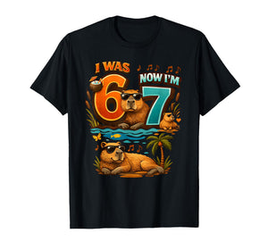 I was Six Now I'm Seven 6 7 Capybara 67 Meme 7th Birthday T-Shirt