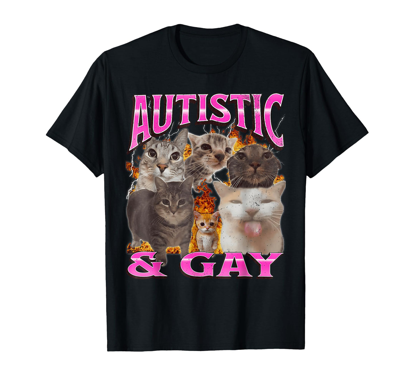 Autistic and Gay Funny Cat Meme Bootleg Graphic T Shirt T-Shirt